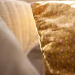 O Chardinet D'a Formiga * Aínsa