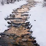 O Chardinet D'a Formiga Lantställe