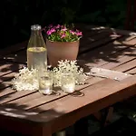 O Chardinet D'a Formiga Lantställe Aínsa