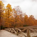 O Chardinet D'a Formiga