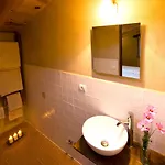 O Chardinet D'a Formiga Aínsa