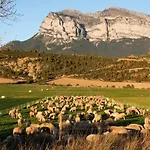 O Chardinet D'a Formiga *