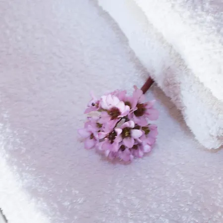 Летний дом O Chardinet D'a Formiga *