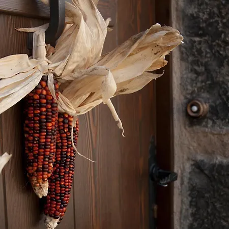 O Chardinet D'a Formiga Country house Ainsa