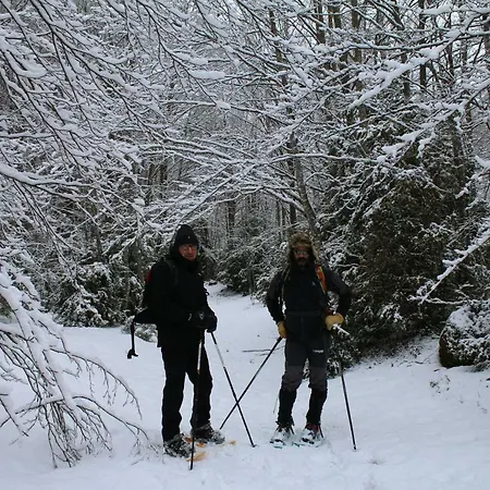 O Chardinet D'a Formiga Casa rural