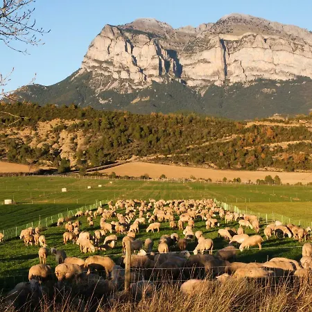 O Chardinet D'a Formiga *