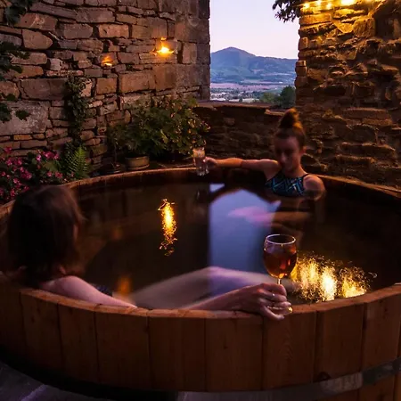 O Chardinet D'a Formiga Country house Ainsa