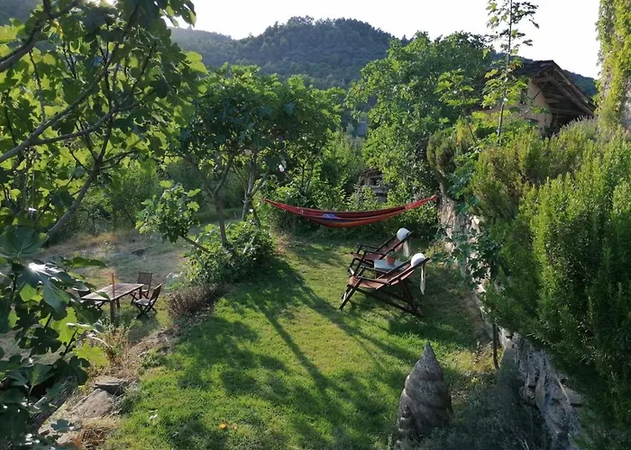 O Chardinet D'a Formiga *