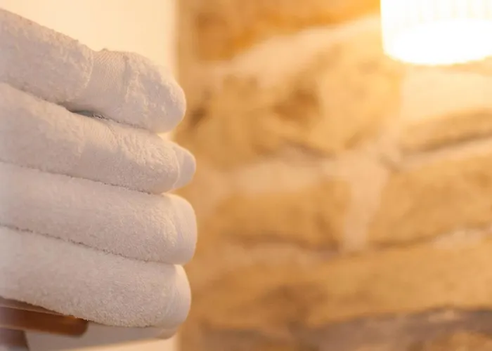 O Chardinet D'a Formiga * Aínsa