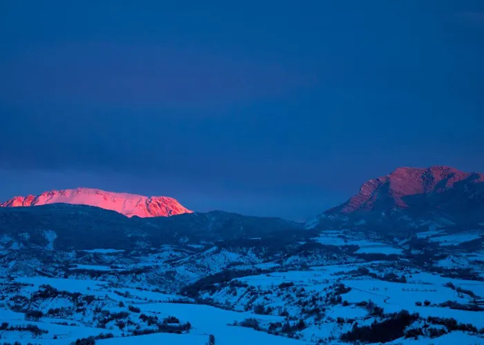 O Chardinet D'a Formiga *