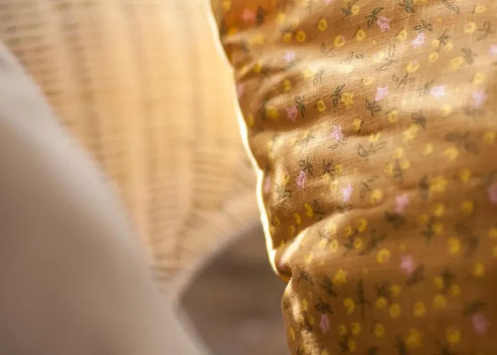 O Chardinet D'a Formiga * Aínsa