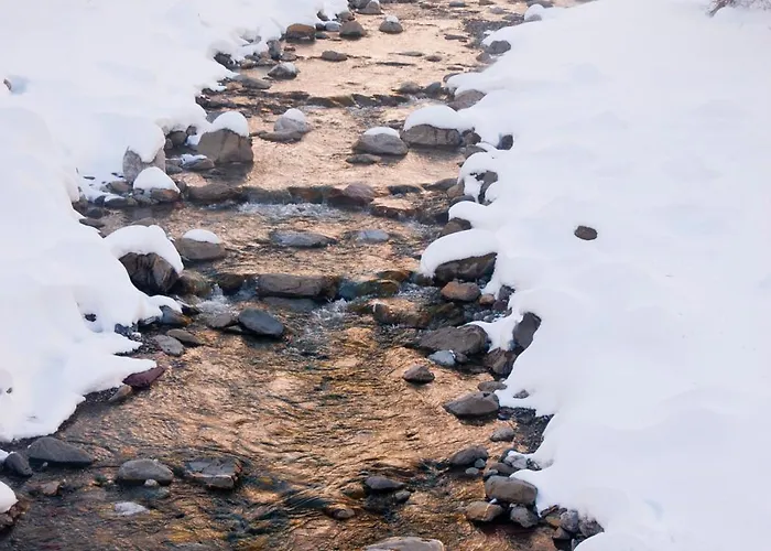 O Chardinet D'a Formiga Country house