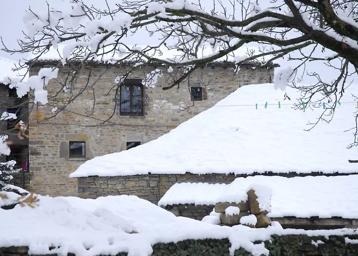 O Chardinet D'a Formiga