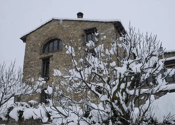 O Chardinet D'a Formiga Ainsa