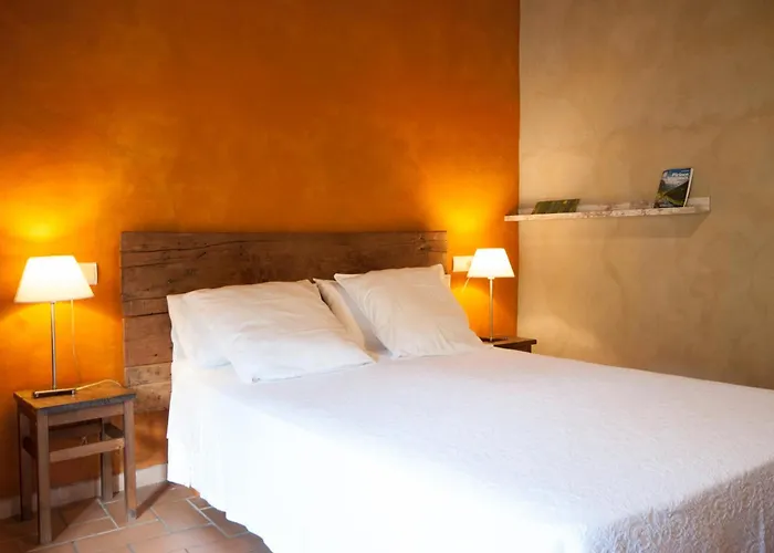 O Chardinet D'a Formiga Ainsa