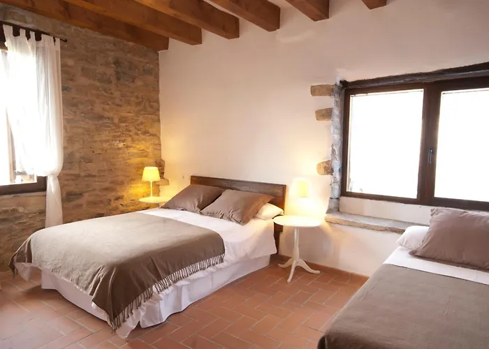 O Chardinet D'a Formiga Ainsa