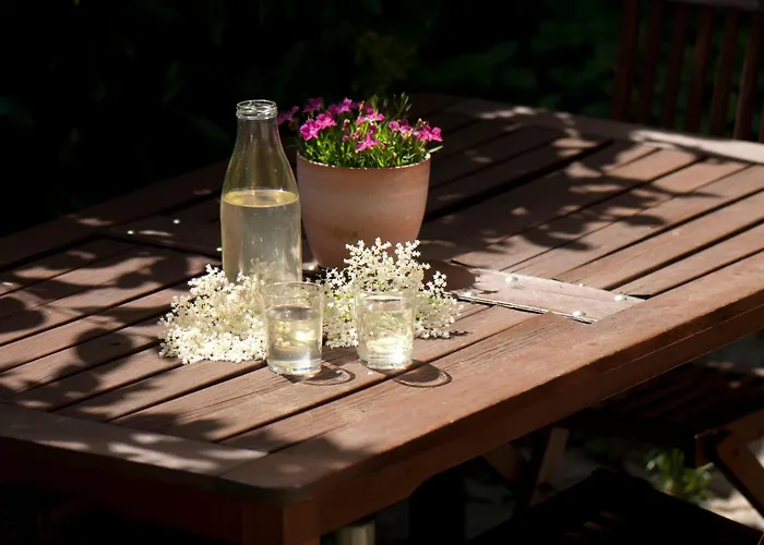 O Chardinet D'a Formiga Casa rural Aínsa