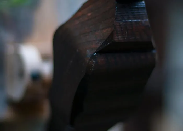 O Chardinet D'a Formiga * Aínsa