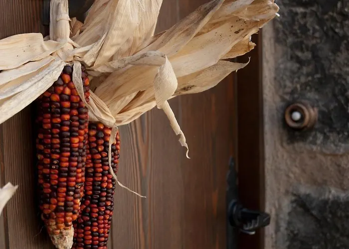 O Chardinet D'a Formiga Country house Ainsa