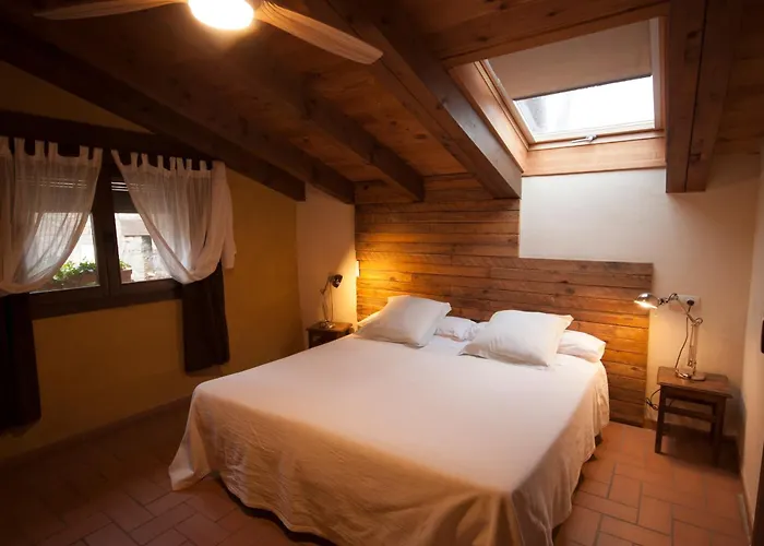 O Chardinet D'a Formiga Aínsa