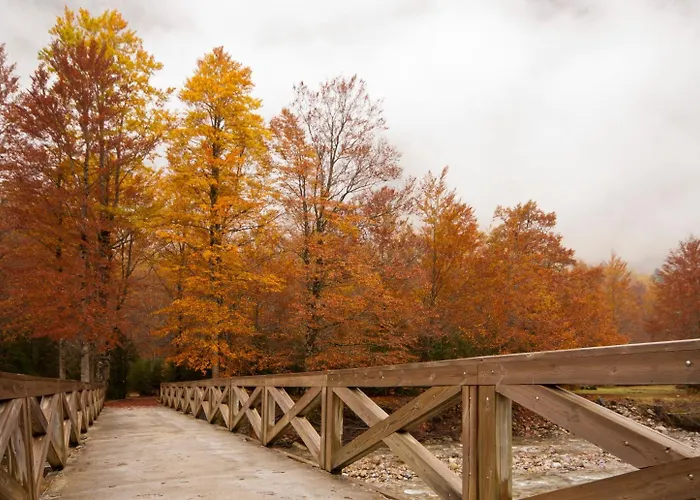 O Chardinet D'a Formiga