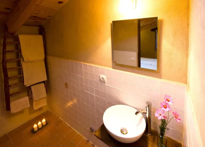 O Chardinet D'a Formiga Ainsa