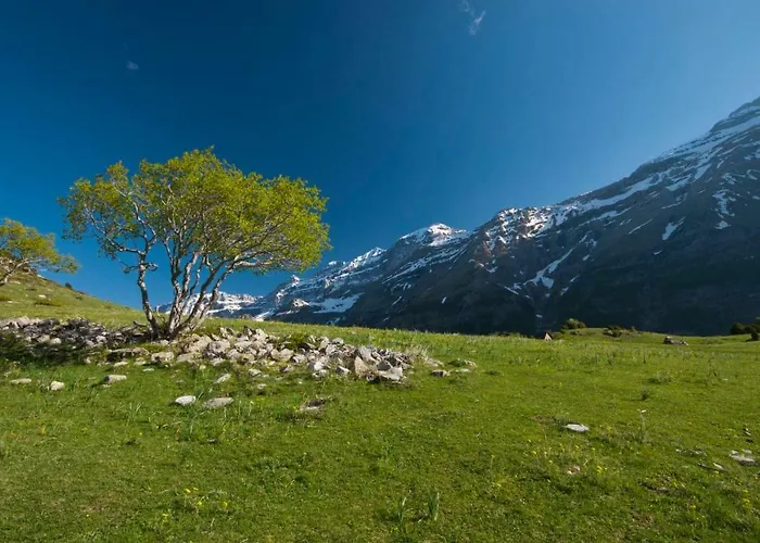O Chardinet D'a Formiga Casa rural