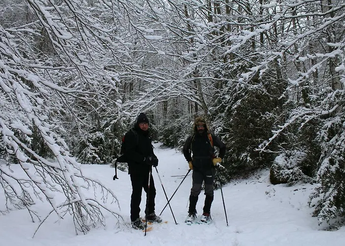 O Chardinet D'a Formiga Country house