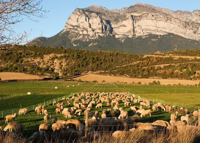 O Chardinet D'a Formiga *