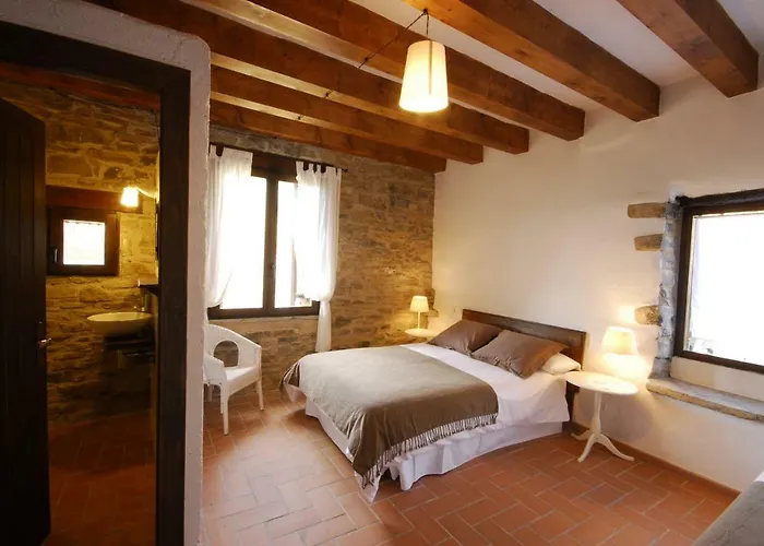 O Chardinet D'a Formiga Ainsa